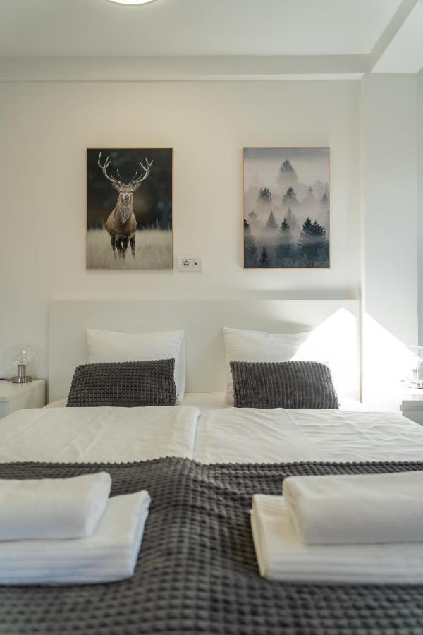 Apartament Grey Mountain Zlatibor